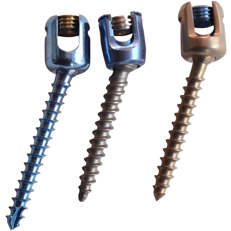 Spine PolyAxial screws